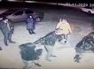 Ревнивый волгоградец устроил массовую драку с поножовщиной и попал на видео