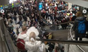 Коронавирусу на радость: в аэропортах Москвы толпы,  люди не могут вылететь из столицы