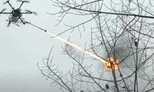 В Китае начали бороться с осами в стиле фантастических боевиков