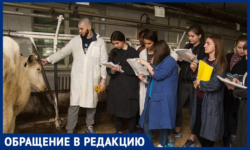 Тимирязевская академия хочет отправить на мясо 30 учебных коров
