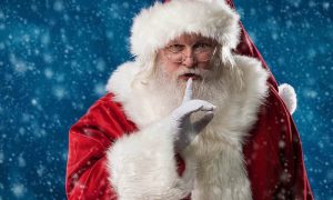 «Дед Мороз с антителами»: к Новому году россиянам предложили коронавирусную услугу