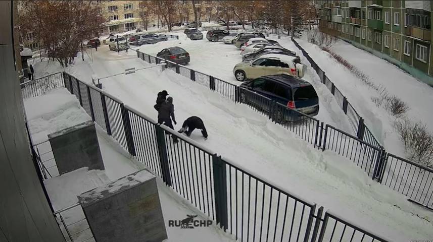 В Новосибирске у мужчины вырвали из рук две трехкомнатные квартиры 