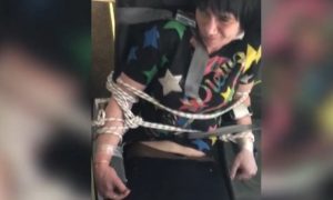 Дама на «скоростях» устроила шоу с раздеванием на борту рейса в Новосибирск