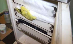 Заберите труп: в Красноярске женщина наняла грузчиков вывезти холодильник с «расчлененкой»