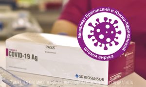 Новые штаммы вируса стали определяться экспресс-тестами SD Biosensor