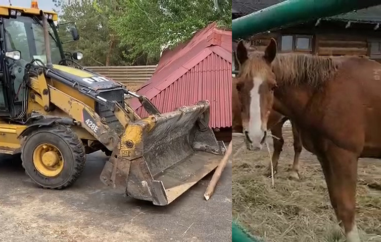 Бульдозером на лошадей: чиновники снесли конюшню и готовятся ликвидировать туристический комплекс в Волгограде 