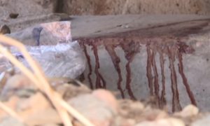 Лужи крови: в иркутской промзоне обнаружили свалку человеческих органов