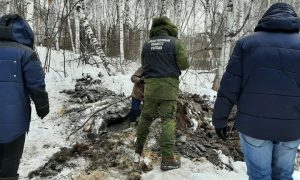 Труп девочки, которую мать-наркоманка отдала подруге, откопали в красноярском лесу