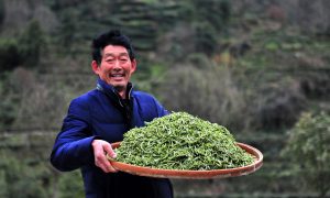 Пять порций, пять раз в день: китайские ученые разработали диету для долголетия