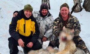 Курганский депутат оскандалился из-за садистского видео с охотой на волков