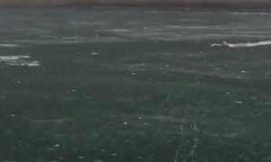 На видео попало, как мужчина ценой своей жизни спас собаку