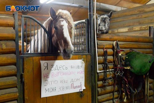 Первый под снос попал конный клуб "Золотая подкова"