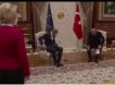 Глава Еврокомиссии Урсула фон дер Ляйен потеряла дар речи, когда мужчины в Турции оставили ее без стула
