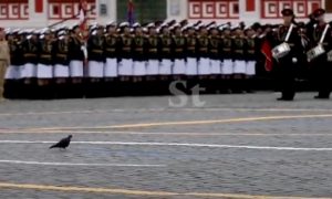 Голубь-военачальник, загоревшийся автомобиль и другие курьезы и ЧП парада Победы