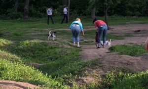 Спортивную сумку с женскими останками нашли в подъезде Воронежа