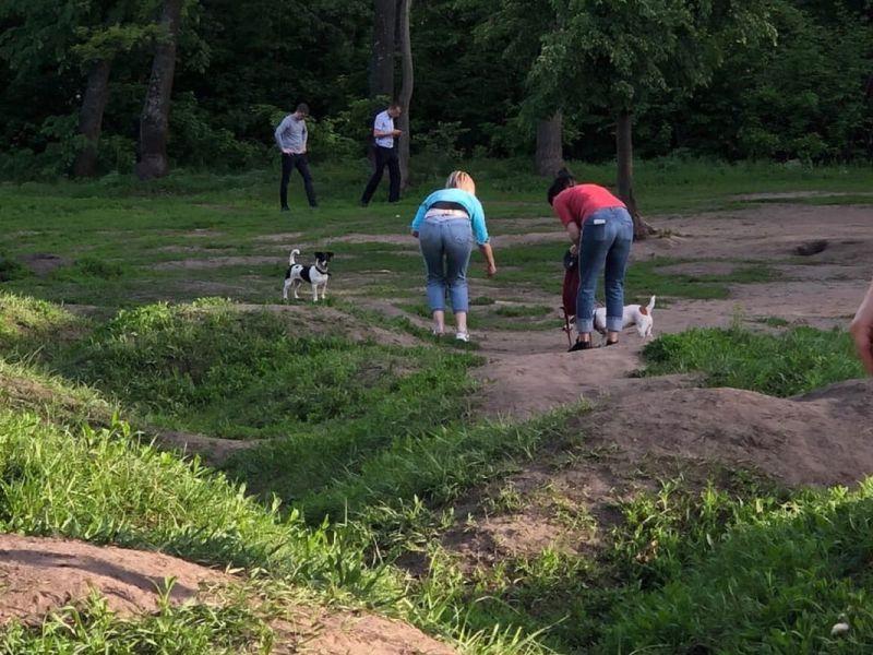 Спортивную сумку с женскими останками нашли в подъезде Воронежа 