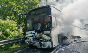 Два автобуса с детьми столкнулись на Кубани. 16 человек пострадали