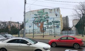 В Ростове в Год спорта решили продать школьную спортплощадку под застройку