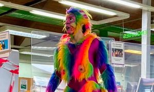 Радужная обезьяна с пенисом в библиотеке: праздник для детей в Лондоне возмутил весь мир