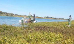 МВД опровергает информацию о признаках масштабной коррупции рыбохраны и чиновников Астраханской области