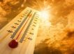 «Нескучная погода»: Вильфанд пообещал россиянам на следующей неделе аномальную жару и ливни