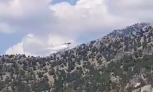 Выживших нет: самолет с россиянами разбился в Турции