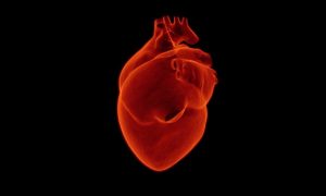 Британские ученые нашли способ точно вычислить риск  сердечного приступа или инсульта