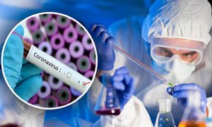 «Его скушали»: известный биолог заявила об исчезновении штамма коронавируса с летальностью до 82%