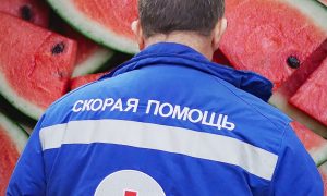 Банановый паук или ядовитые арбузы: кто отравил девять человек на Совхозной улице
