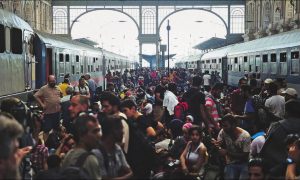 Узбекских мигрантов будут завозить в Россию чартерными поездами