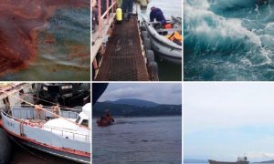 Семь крупных разливов нефти произошло на Кубани за полгода