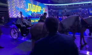 Цирк с конями и Жириновским: лидер ЛДПР явился на съезд партии на тройке с бубенцами. И лошадь тут же наложила кучу