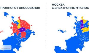 «БезУмное голосование». Как электронное голосование изменило результаты выборов в Москве