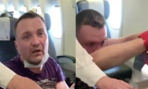 Замдиректора московского парка «Фили» скрутили в самолете за пьяный дебош