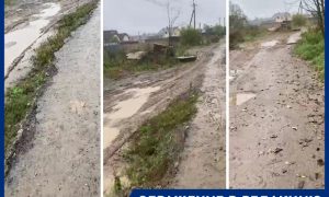 Жители поселка под Москвой просили отремонтировать дорогу. Но на ее месте разбили сквер