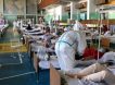 Класть больше некуда: в России заканчиваются места в ковидных больницах