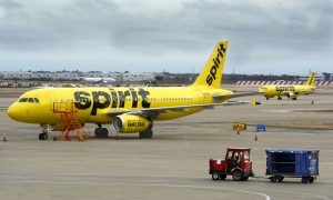 Видео: в аэропорту США из-за птицы загорелся самолет с пассажирами на борту