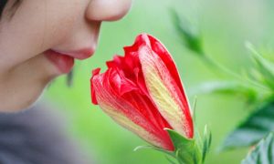 Назван способ быстро вернуть вкус и запах после COVID-19