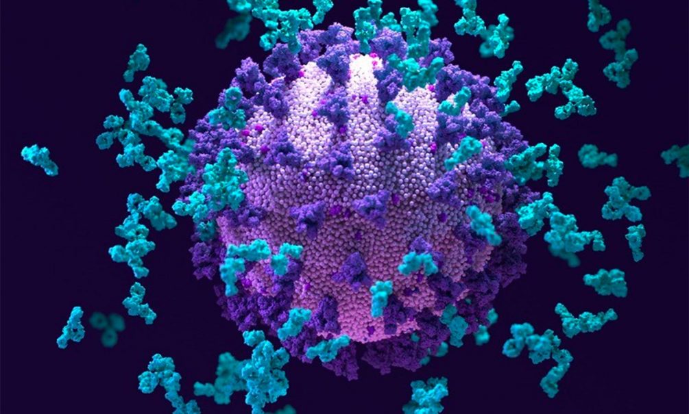 Ученые обнаружили самый опасный в мире коронавирус-мутант 