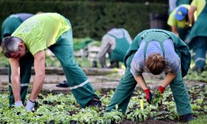 Кубанские фермеры заподозрили крупного бизнесмена Макаревича в сговоре с судом