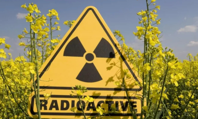 Российские ученые обнаружили, что радиация продлевает жизнь 