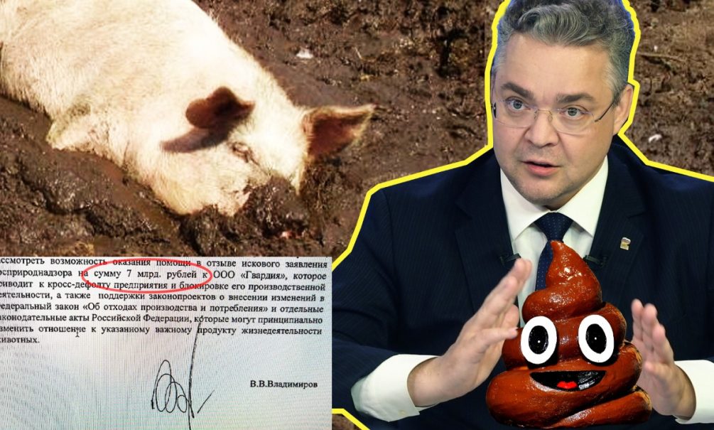 Ставропольский губернатор рискует головой: защищает свиноводов-загрязнителей от штрафа 7 млрд руб 