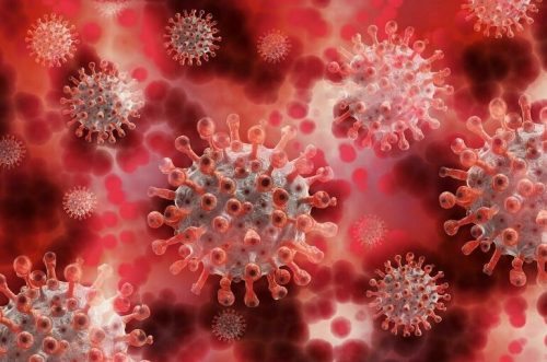 Завезли туристы: сенатор заявил о появлении в России самого опасного штамма коронавируса «омикрон»