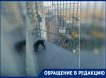 «Грязь и вонь на несколько этажей»: в элитном ЖК в Подмосковье жительница выгуливает пса на общем балконе