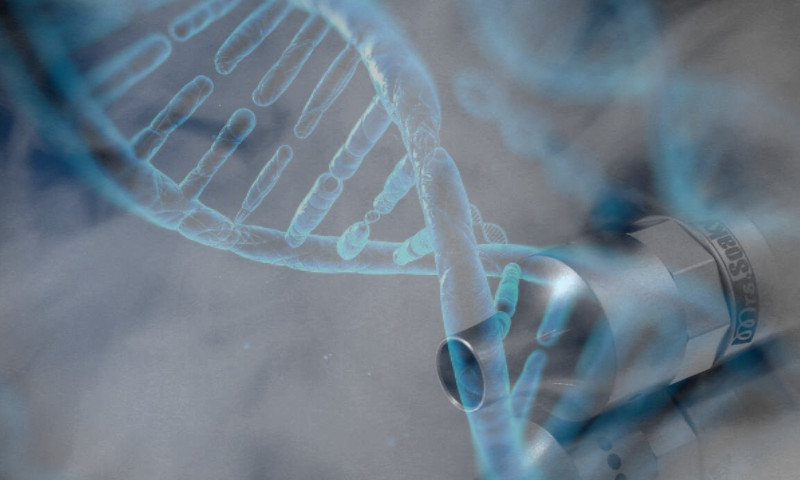 Ученые обнаружили, что вейпы разрушают гены человека 