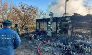 Мать и пятеро детей сгорели при пожаре в частном доме в Воронежской области