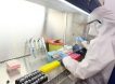 Российскую вакцину от коронавируса «Конвасэл» зарегистрируют в начале 2022 года