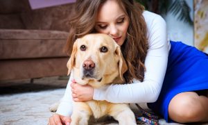 «У меня аллергия»: в Краснодаре таксист отказался везти незрячую девушку с собакой-проводником