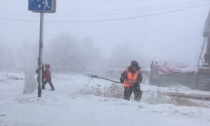 Якутским коммунальщикам поручили косить траву в -50