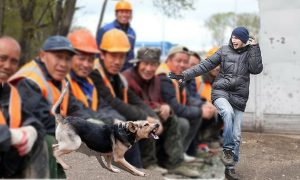 «Выставили за дверь, натравили собаку»: учителей из Оренбургской области заставили обходить дома мигрантов